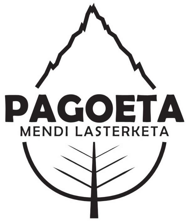 Pagoeta Mendi Lasterketa